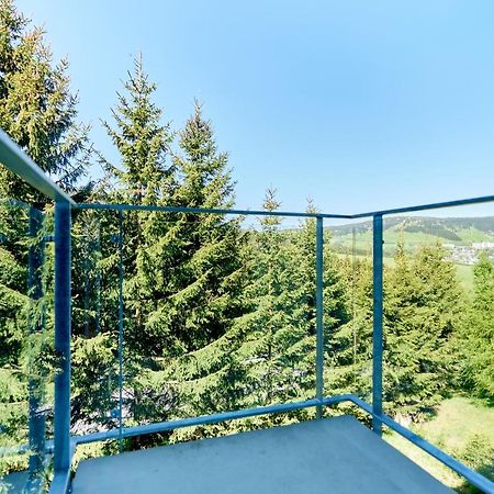 Klinovec Suite By Mountain Ways Loučná pod Klínovcem Eksteriør billede