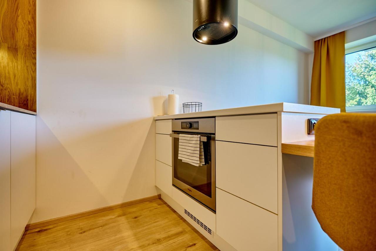 Klinovec Suite By Mountain Ways Loučná pod Klínovcem Eksteriør billede